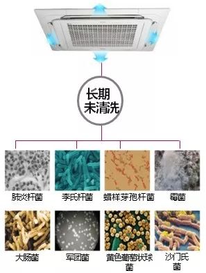 长期未清洗空调携带多种细菌